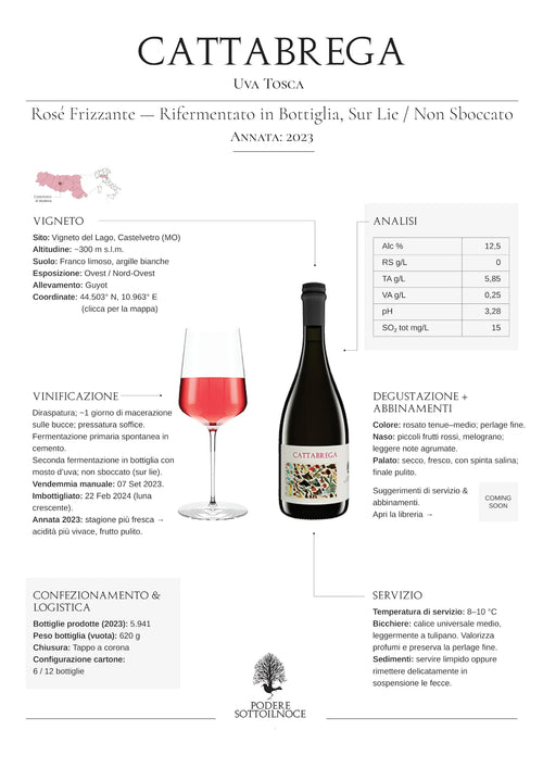 Scheda informativa vino rosé frizzante Cattabrega con bottiglia e calice, dettagli tecnici e abbinamenti.
