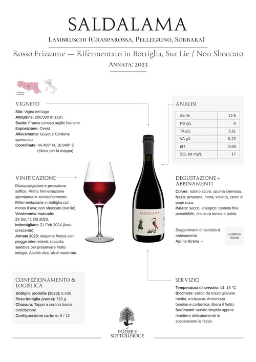 Infografica vino Saldalama Lambrusco rosso frizzante 2023, bottiglia e calice, dettagli analisi e abbinamenti.