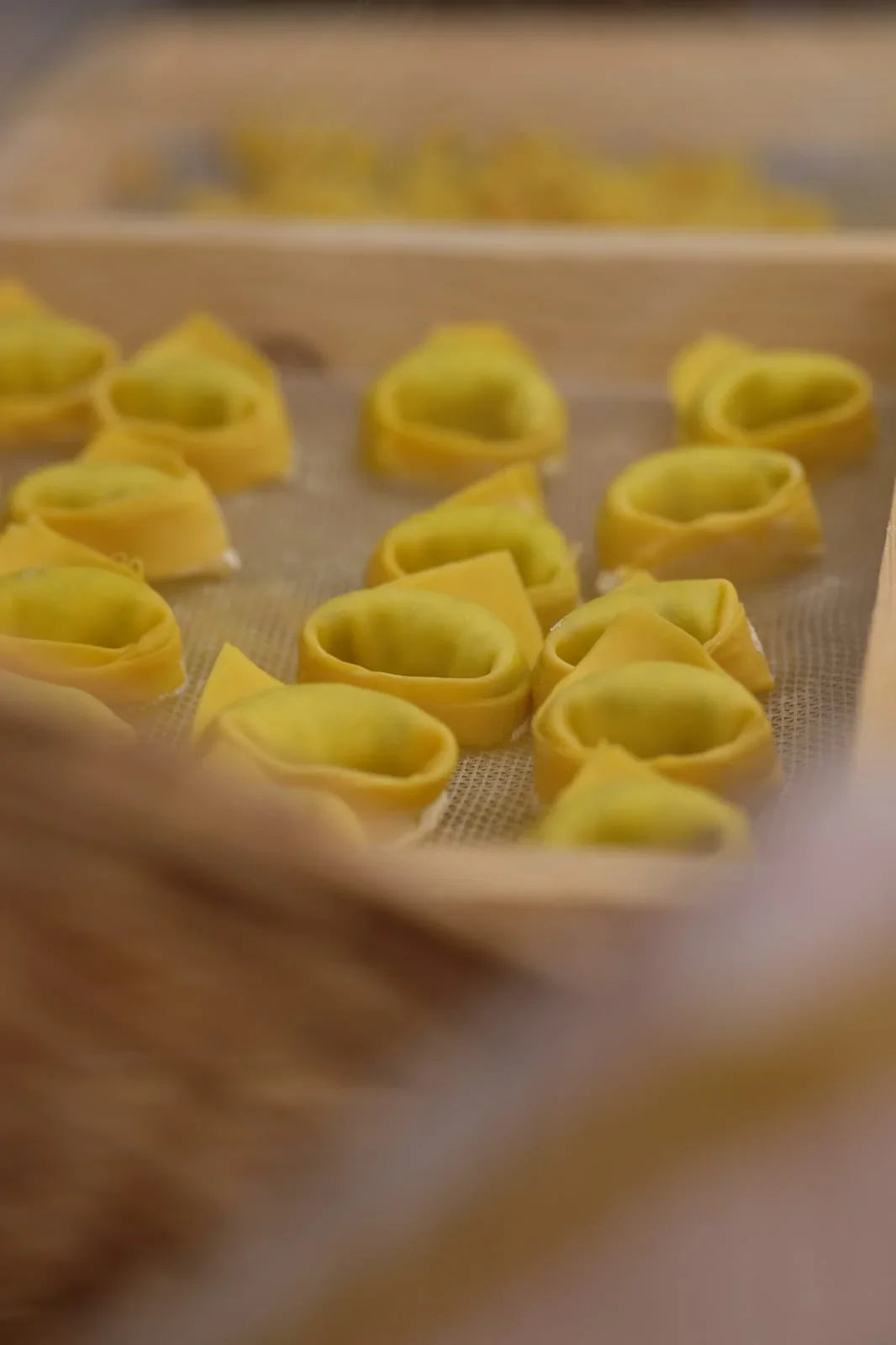 Tortelloni freschi artigianali emiliani disposti su un vassoio in legno