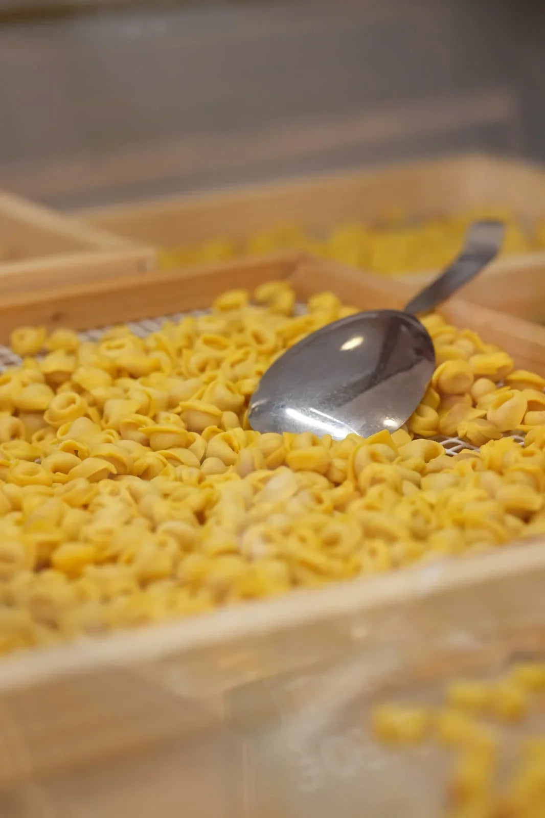 Tortellini freschi fatti a mano con ripieno di carne, preparati artigianalmente da InPasta